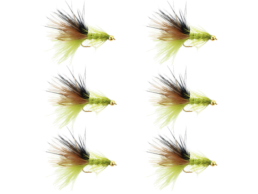 Wild Water Woolly Bugger 6-pack packaging ready for quick river access.