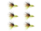 Wild Water Woolly Bugger 6-pack packaging ready for quick river access.