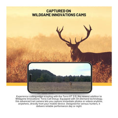 Terra XT 2.0 mounting options and security image 01