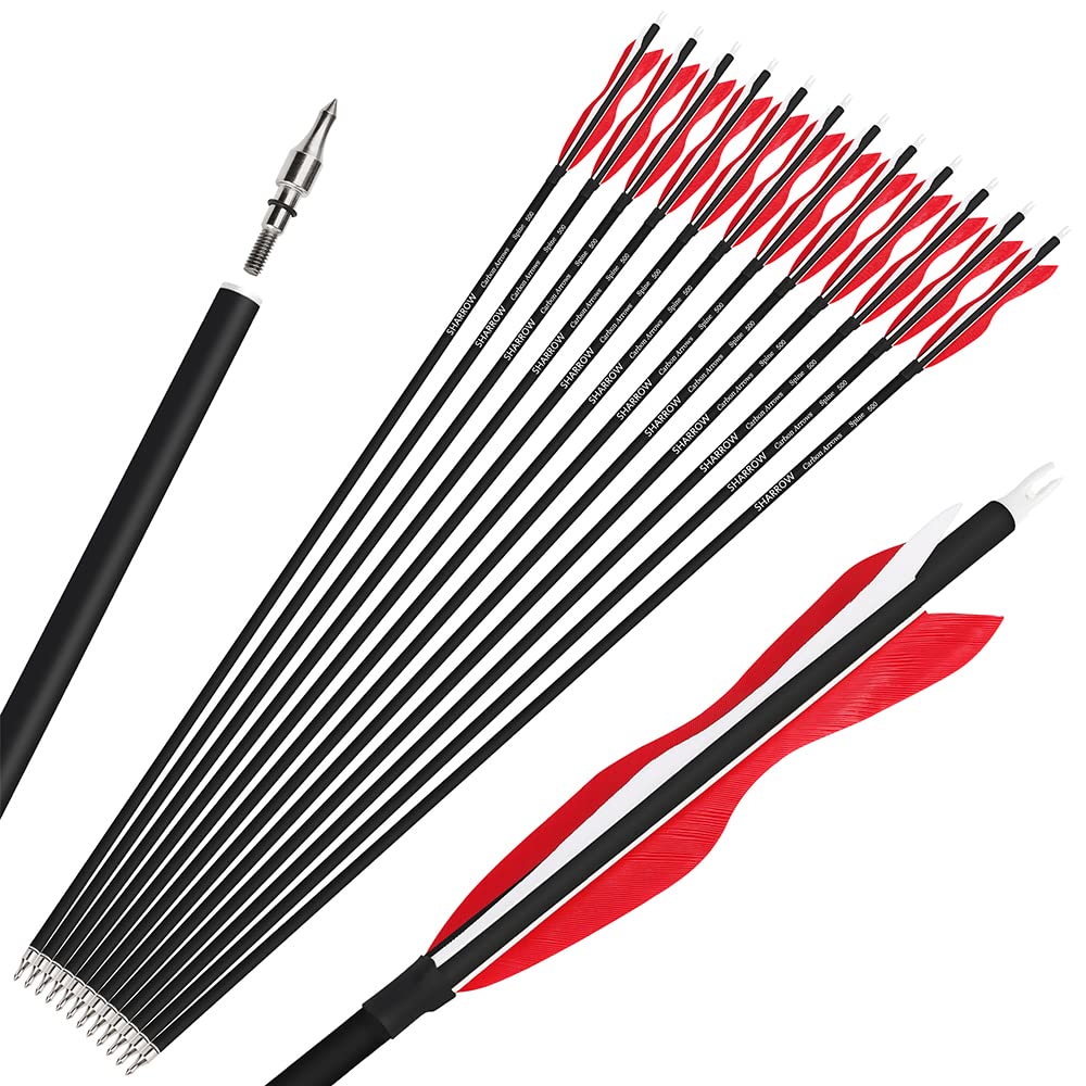 Wolfman 31 carbon arrows package view showing ready-to-use set for practice and hunting