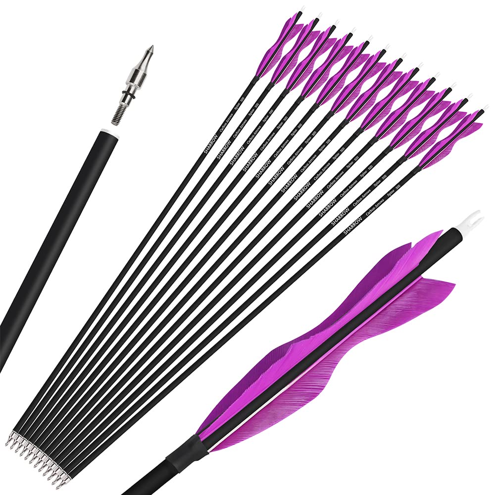 Wolfman 31-inch carbon arrow with turkey-feather flight aids stable target practice.