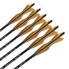 Wolfman carbon arrows removable tips 100grain enabling versatile target practice