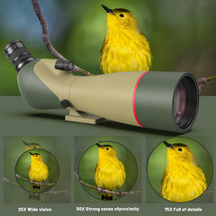 WOSPORTS hd bak4-porro prism delivers clear wildlife detail