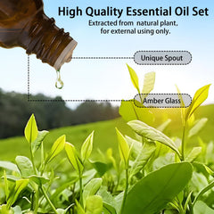 Wtrcsv eucalyptus oil bottle highlights invigorating scent for inhalation and diffusion.