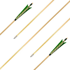XTCXCARCHERY pack of 12 arrows ideal for beginners and enthusiasts.