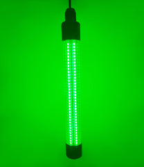 Green light attracts prawns, squid and fish at night