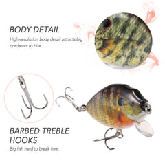 YIWENG tackle box keeps five lures organized on the go.