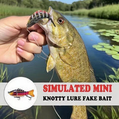 Lure with UV coating for saltwater durability