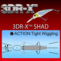 Yo-Zuri 3DR-X Shad Ghost Ayu black nickel hooks close-up