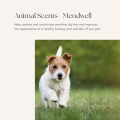 Young Living Mendwell application scene showing simple steps for soothing dry skin