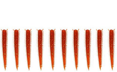 Zerone soft bait set of 10 with lifelike shapes for freshwater bass