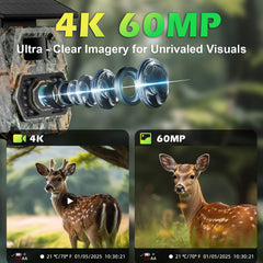Zivolixd trail camera 60MP 4K video captures detailed wildlife moments