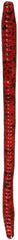 Zoom 004-018-SP 4-3/4-inch Finesse Worm, Cherry Seed finish, set of 20