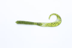Zoom Bait 8-inch Dead Ringer Watermelon Seed with ringed body and curly tail for grass pocket bass