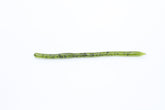 Zoom Bait Swamp Crawler Watermelon Seed 25-pack front view, soft worm ideal for Texas rigging and finesse