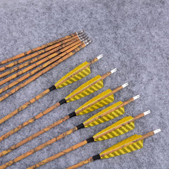 ZSHJGJR 100 grain screw-in field points for versatile target shooting