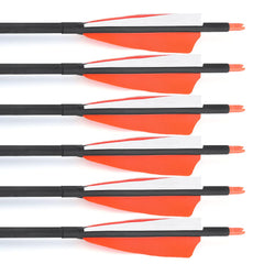 ZSHJGJR 100 grain field points with O-ring for secure screw-in heads.