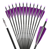 ZSHJGJR 30-inch carbon arrows with purple turkey feather fletching for practice.