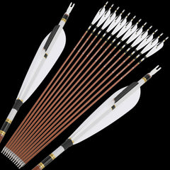 ZSHJGJR 31-inch carbon arrow with wood grain spine 600 for long range practice.