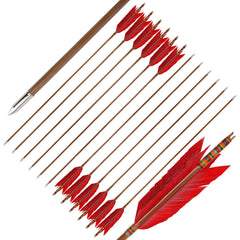 ZSHJGJR colorful fletching options improve visibility and quick identification on range or hunt.