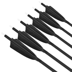 ZSHJGJR full-length arrow 31.57 inches for reliable accuracy in practice.