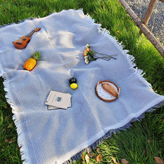 Zyntrytong picnic blanket opened on grass for family picnic