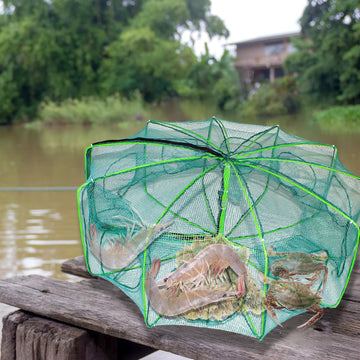 Catches minnow, crab, shrimp and crawdad in nets
