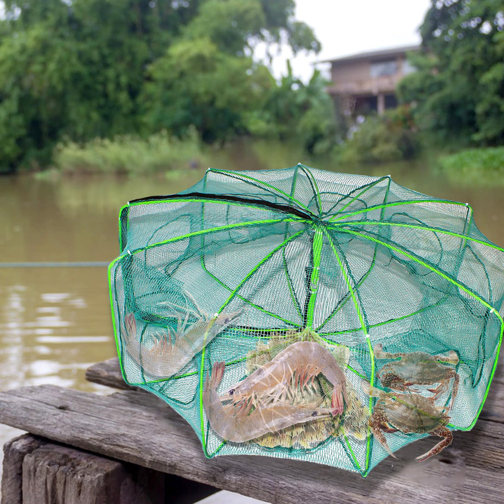 Catches minnow, crab, shrimp and crawdad in nets