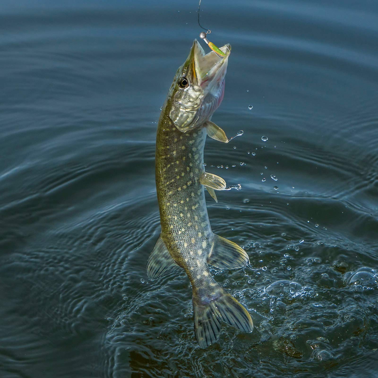 Jig head hook set ready for sharing with fishing friends