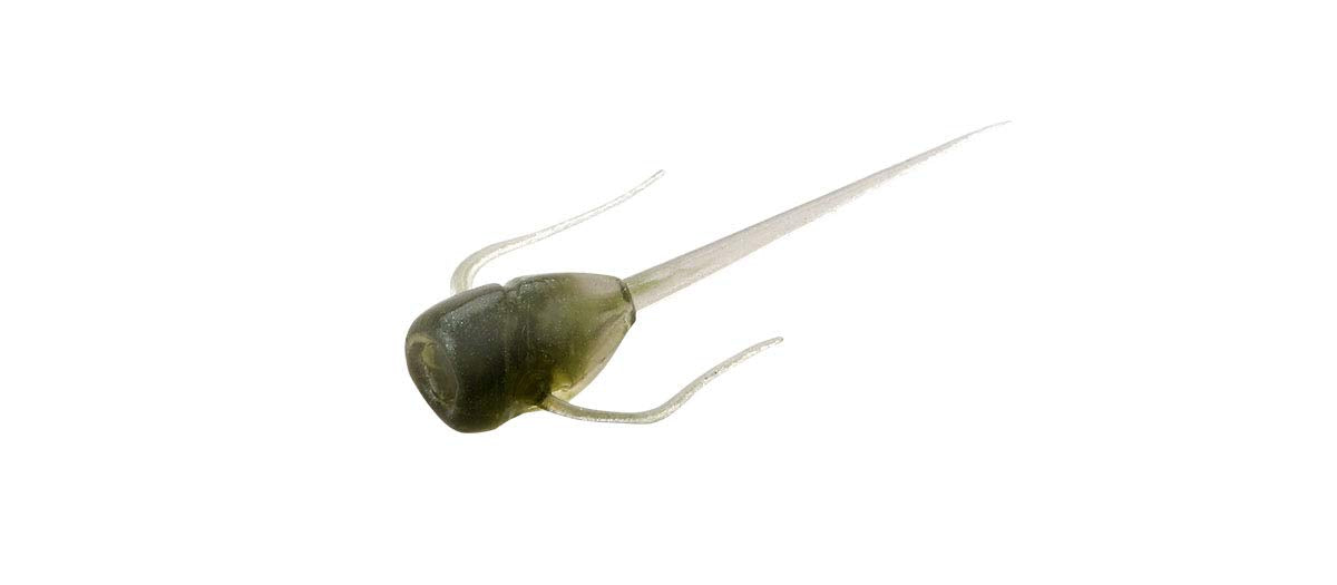 13 FISHING Paralyzer Greenhead panfish plastics boost strikes with lifelike forage.