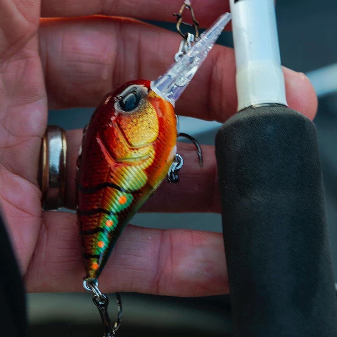 13 FISHING Gordito paint finishes close-up shows bold brown craw.