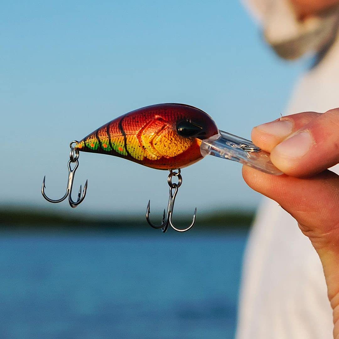 13 FISHING Gordito top-down view reveals natural wobble and contrast.