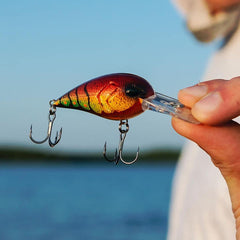13 FISHING Gordito top-down view reveals natural wobble and contrast.