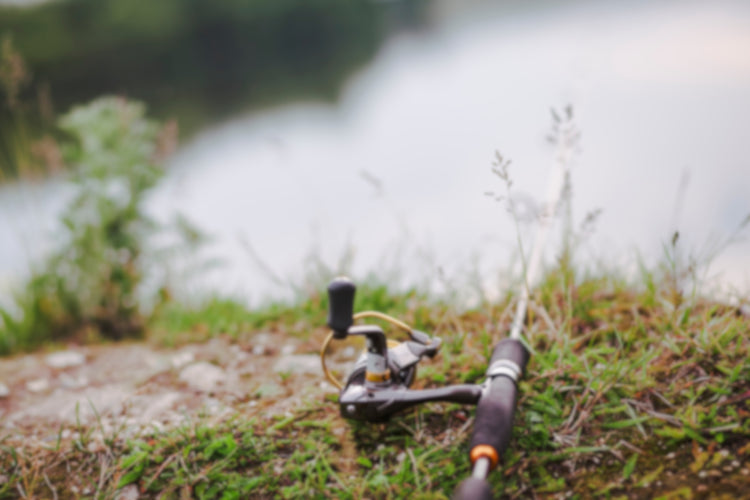 Fishing rod and reel resting on lakeside grass, ready for an early morning catch.