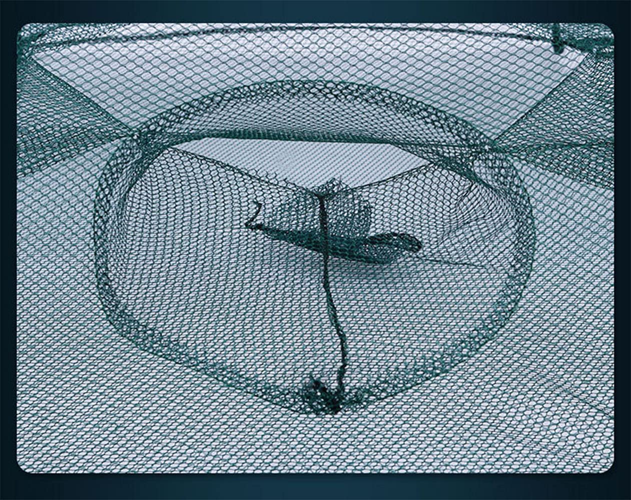 Crawfish traps showing 93 x 93 cm opening