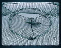 Crawfish traps showing 93 x 93 cm opening