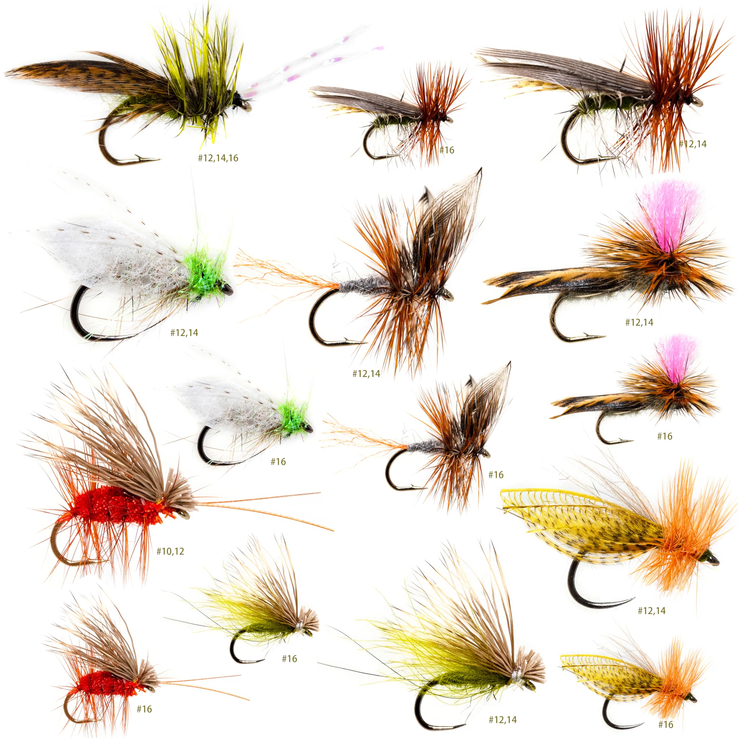 Front view of 24-realistic caddis dry fly assortment