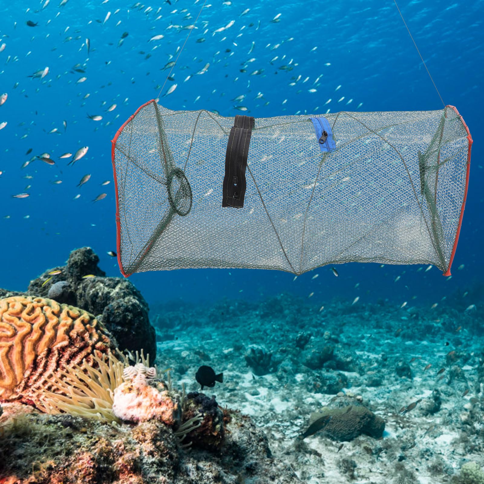 Lobster and crayfish catching with versatile fishing net