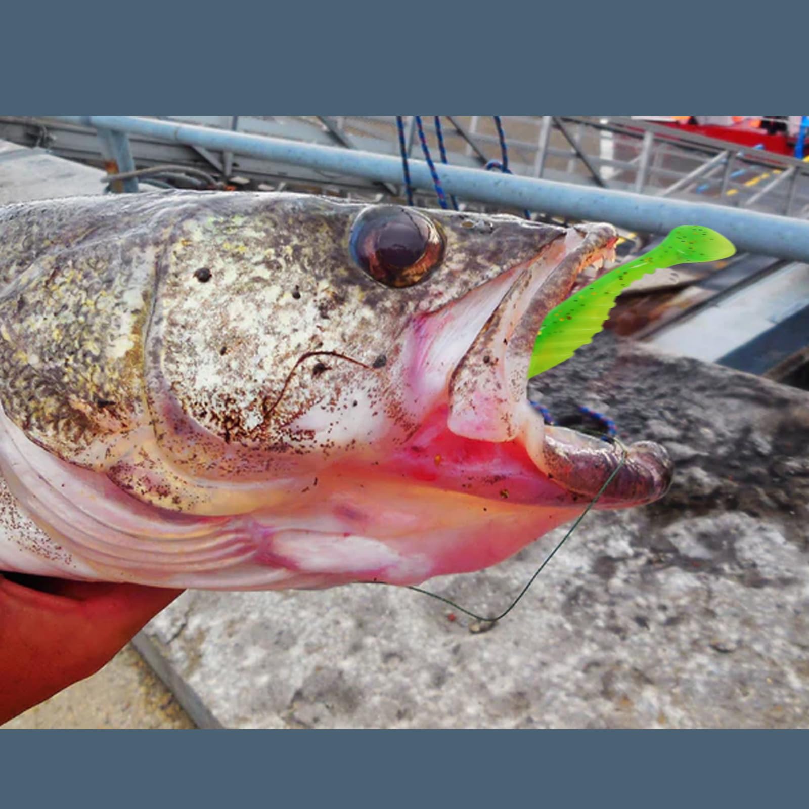 All components displayed: lures, jig heads, and box – image 6