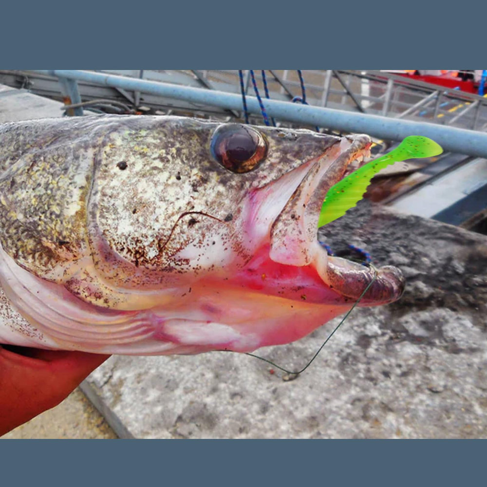 All components displayed: lures, jig heads, and box – image 6