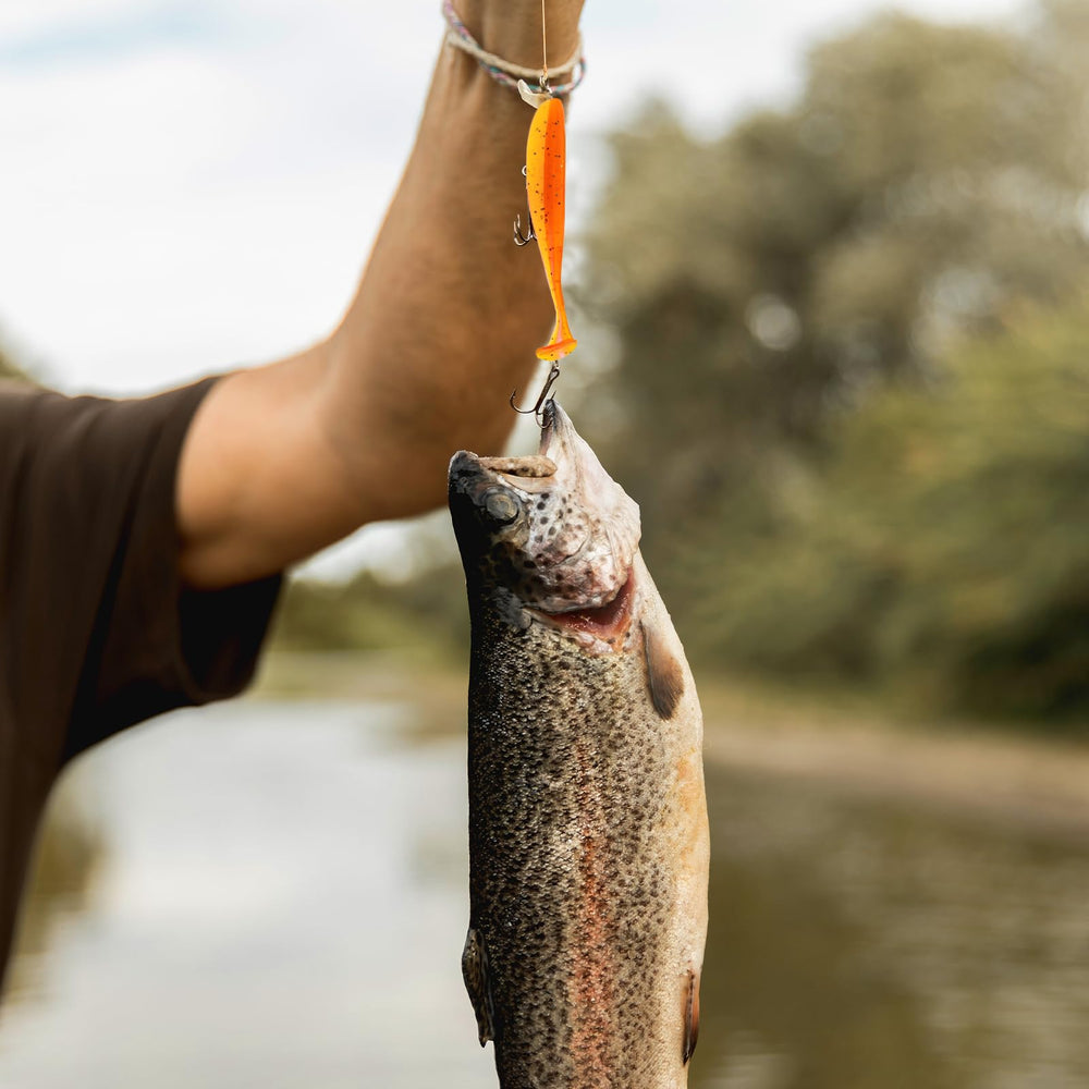Compact bag packaging for 50 soft plastic baits