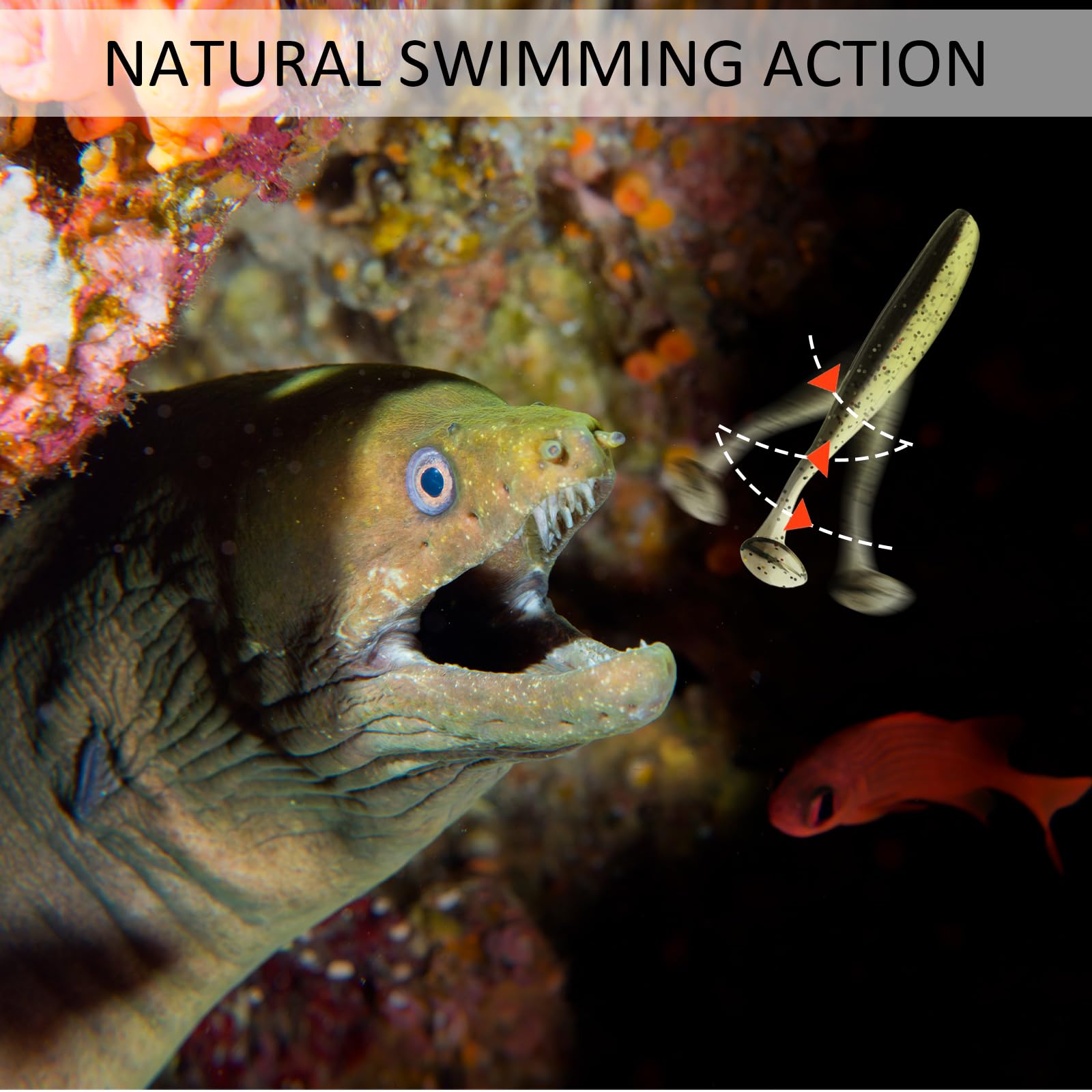 Fishing scene with paddle tail swimbaits in water