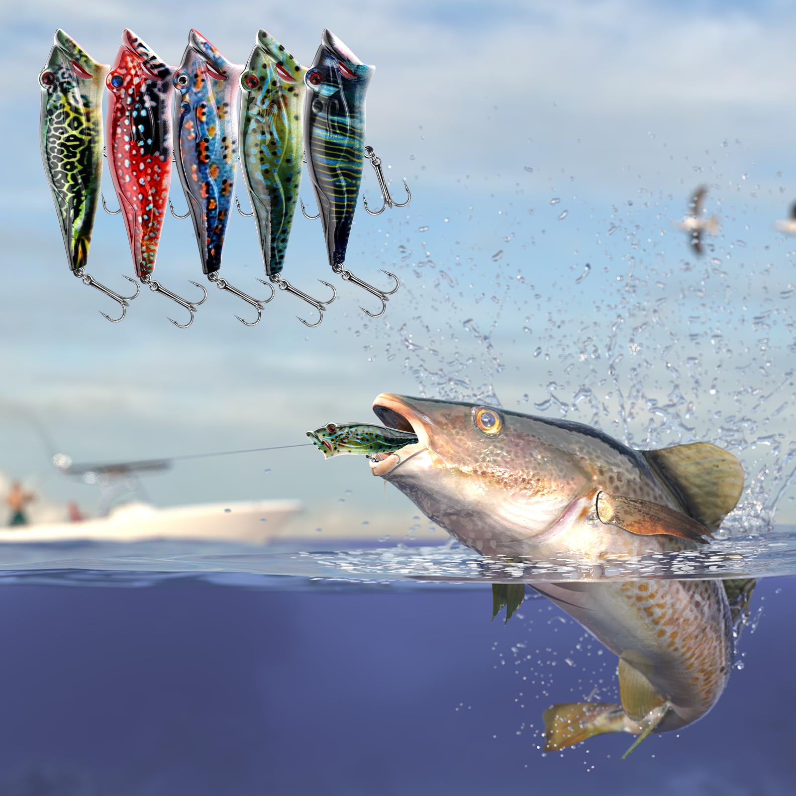 Five-pack set packaging and contents