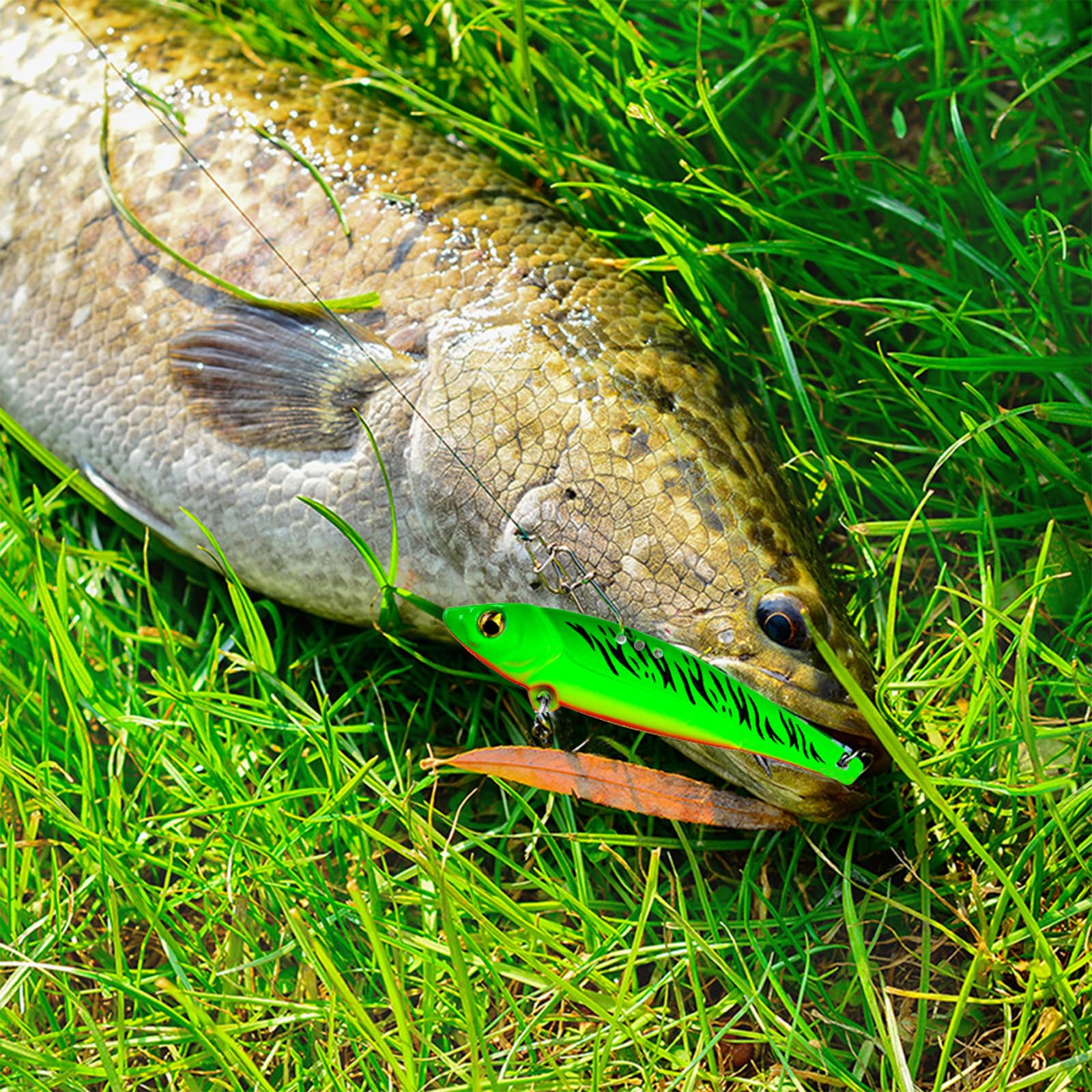 Five-piece blade bait pack in assorted colors