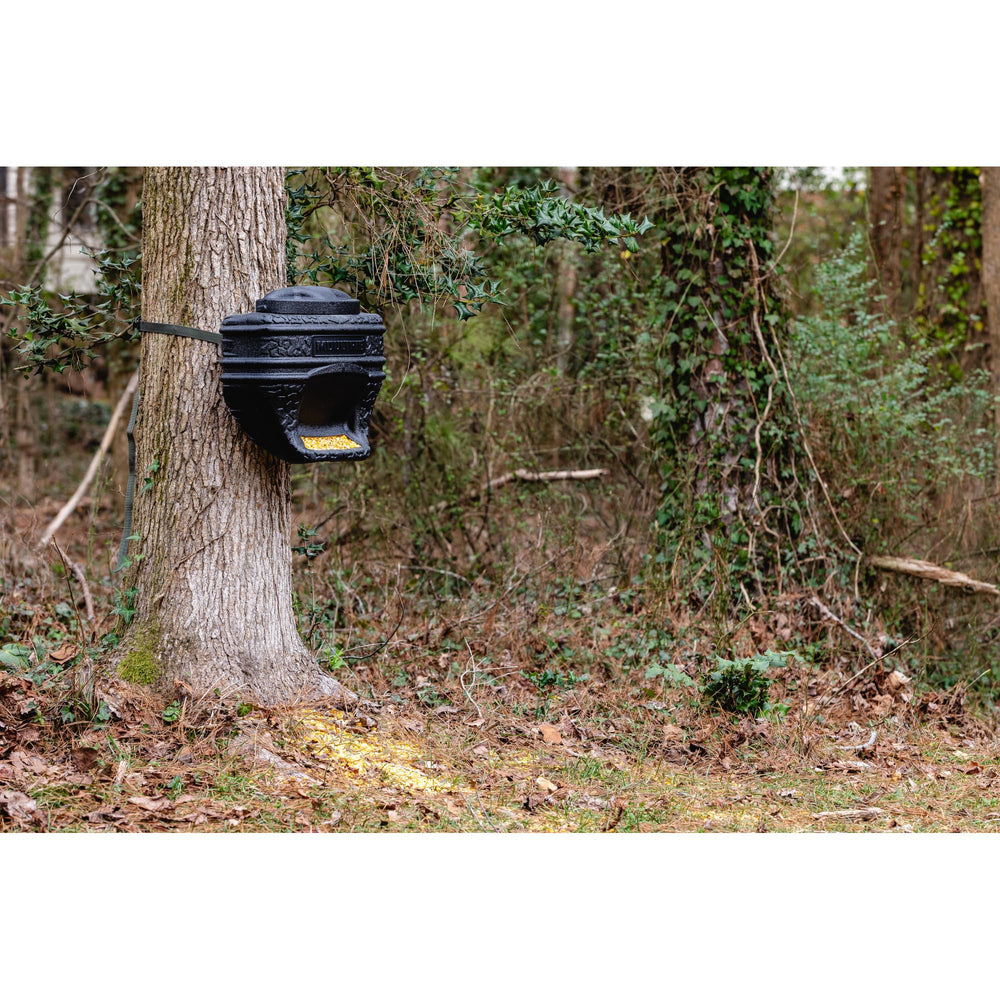 Non-battery gravity-fed feeder for livestock.