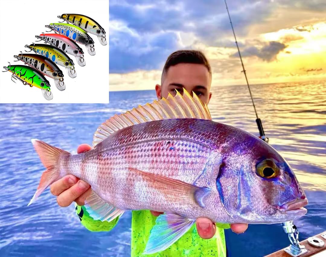 Packaging showing 6 lures included