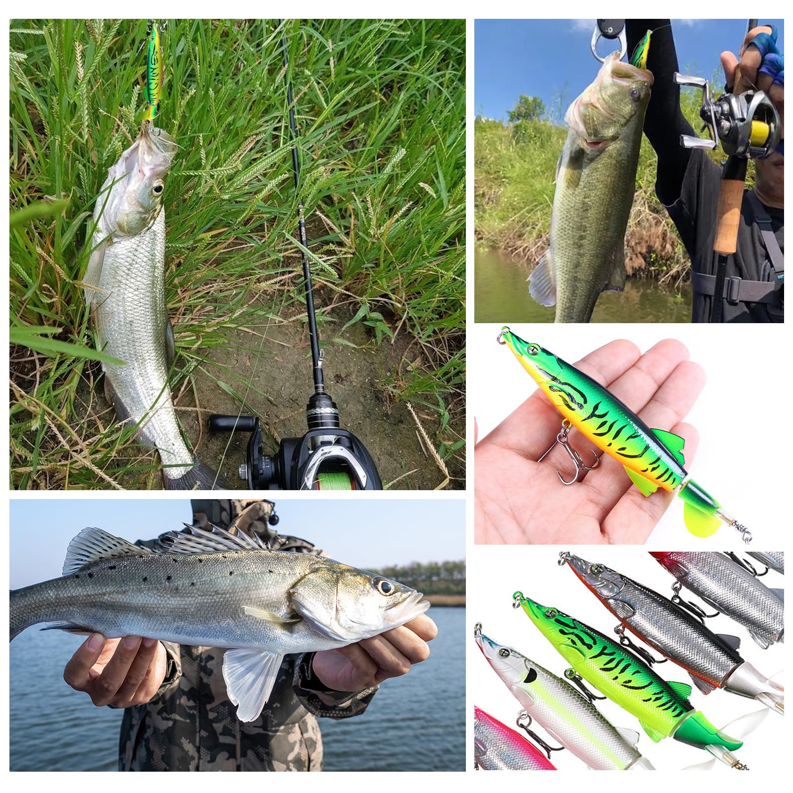Lures designed for freshwater and saltwater fishing
