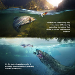 Durable stainless steel hardware with soft plastic bait