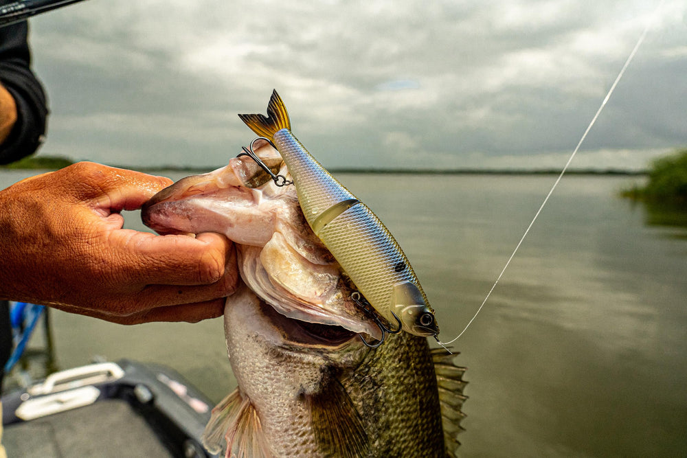 6th Sense Draw 9.0 9-inch glide bait supports trophy bass targeting.
