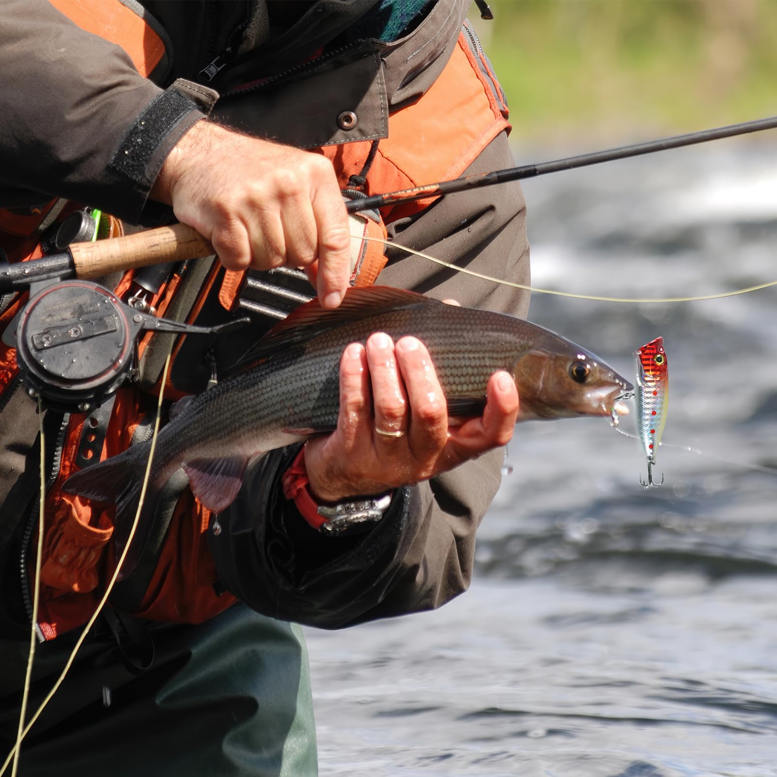 Assorted soft plastic baits and jig heads included in the kit